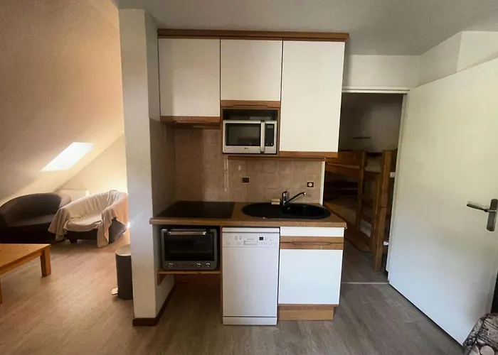 Apheratz-porte F57 - - Ravissant T2 Pour 6 Personnes Avec Parking Prive Et Magnifique Vue Mae-5731 Apartment Les Deux Alpes